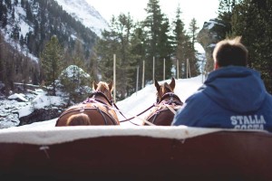 giro-carrozza-cavalli-svizzera