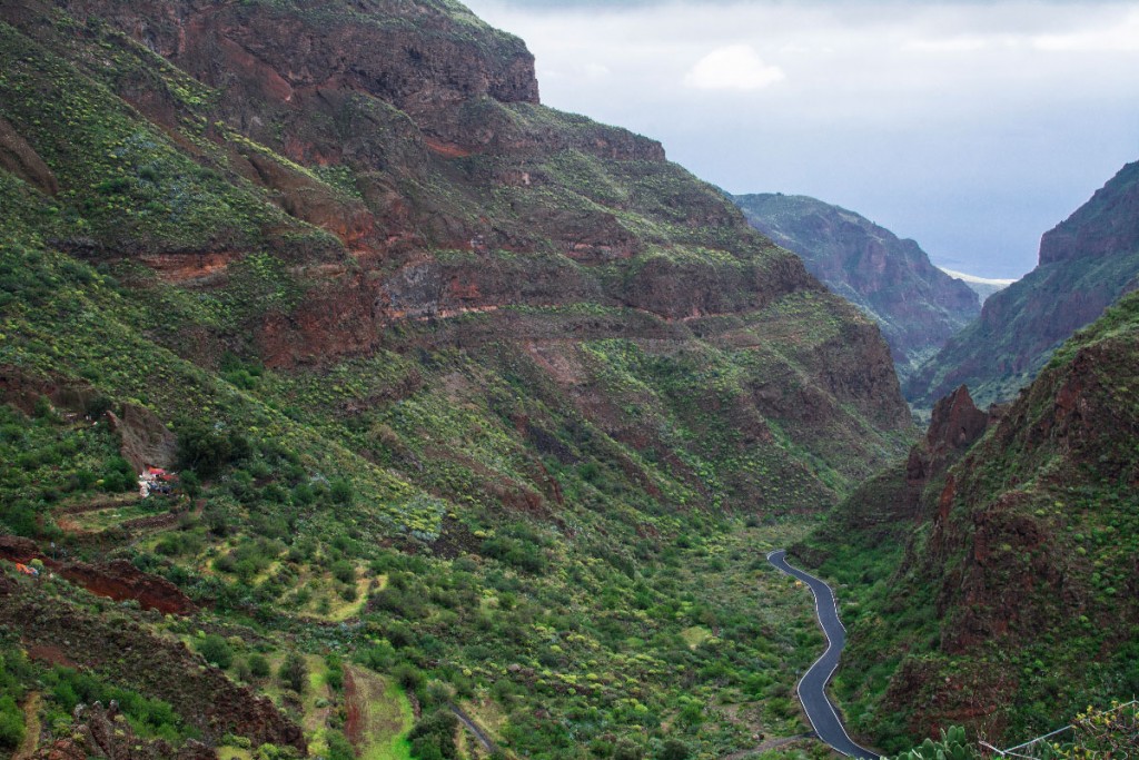 barranco-de-guayadeque