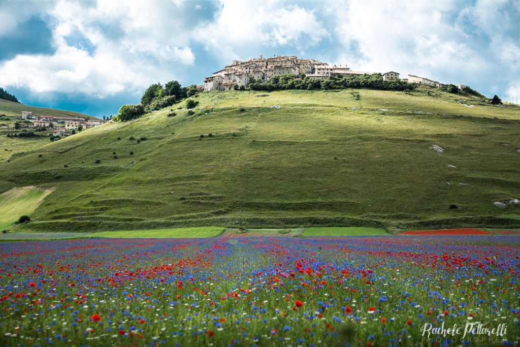 fioritura-castelluccio-norcia