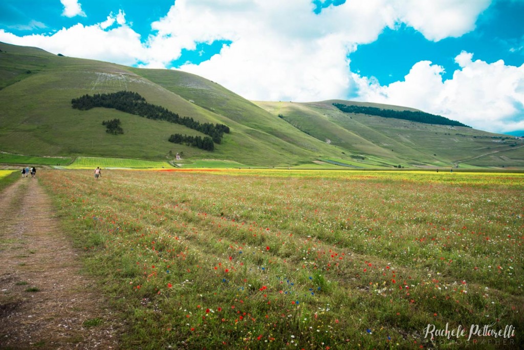 piana-di-castelluccio