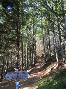 sentieri-a-piedi-monte-cimone