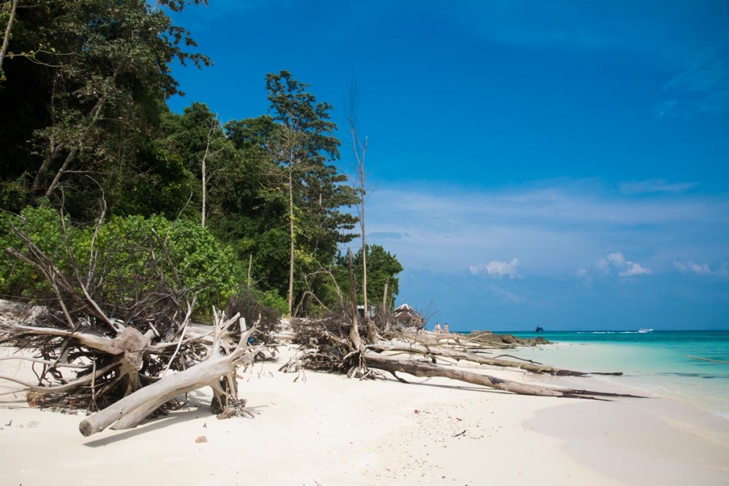 bamboo-island