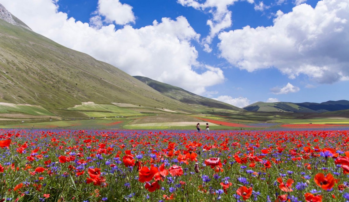 Castelluccio di Norcia e la sua incantevole fioritura